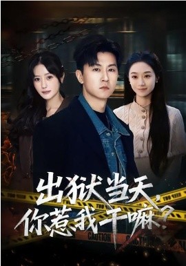 钢之炼金术师FA